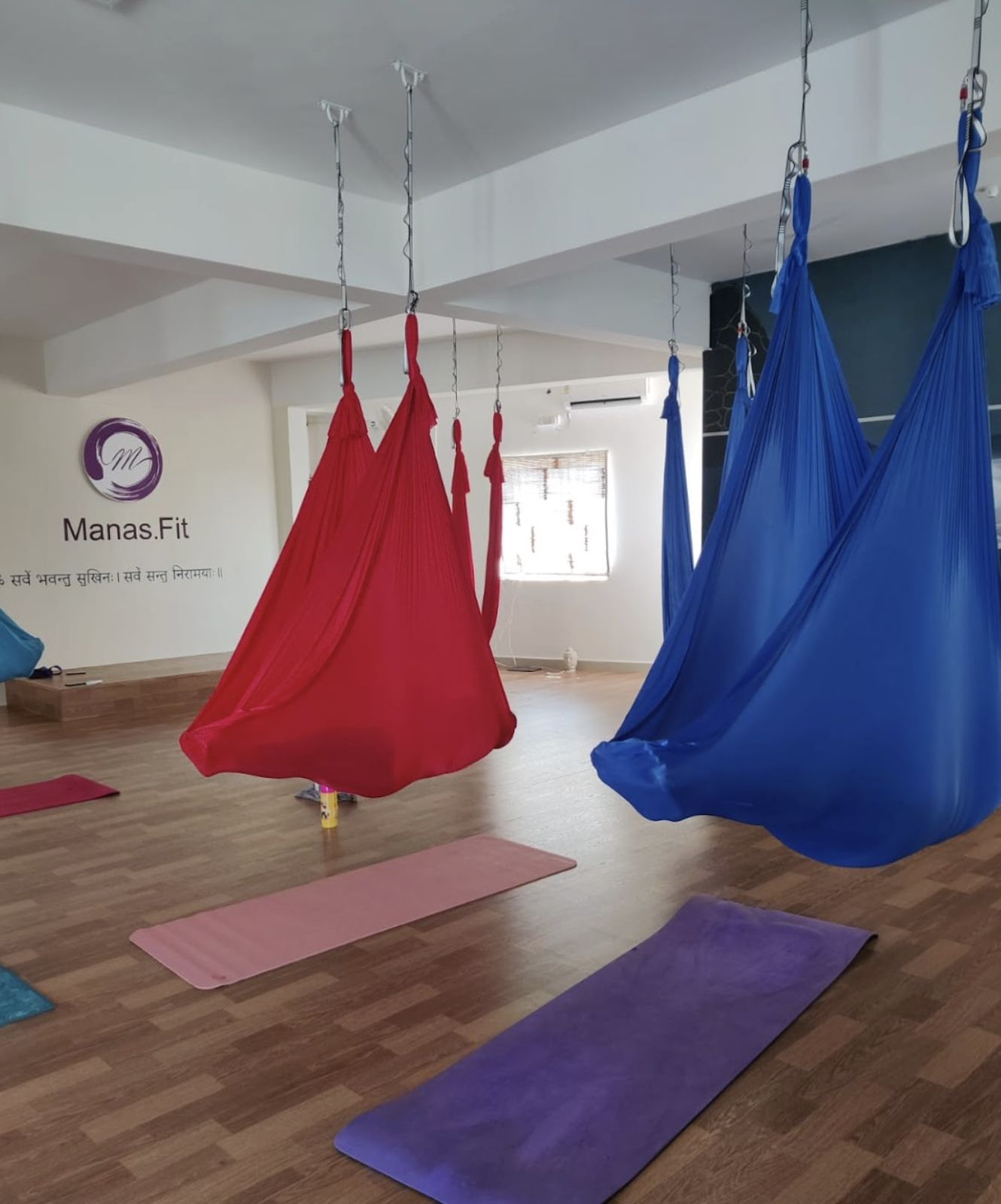 Aerial hammocks hanging in the studio hall