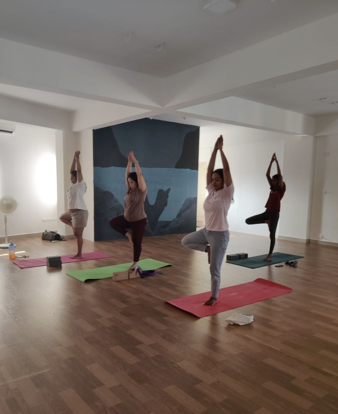 Iyengar Yoga at Manas.Fit